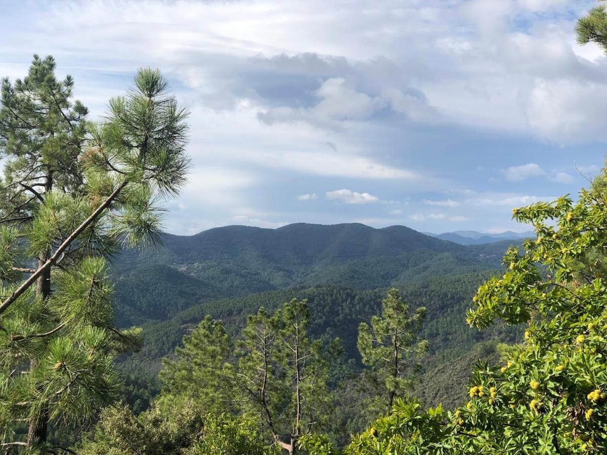 Appartamento T2 entièrement équipé et refait à neuf à 10mn Alès La Grand'Combe Esterno foto